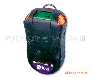 GammaRAEIIR߼ⱨ*[PRM-3040]