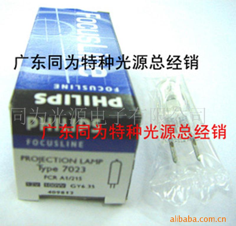 12V100WPHILIPS