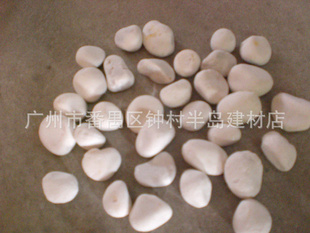 ưʯף԰־ʯ2-3cm