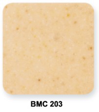 ̨ʯBMCʵģBMC203