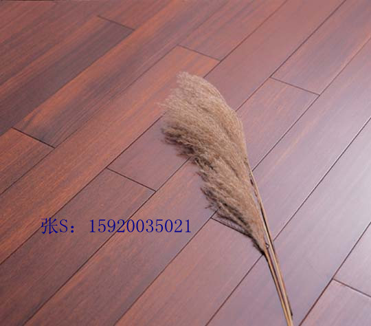 Բ̶¿̱ɣʵľذ