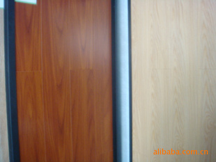 ST5001--ǿذ
