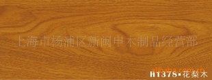 ֱǿϵذ壨ĥů