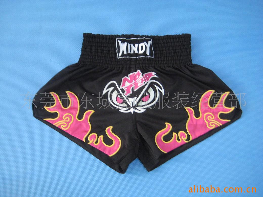 windy̩ȭ