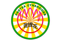 Ứǽƹ齺LF-NQ-04