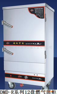 DMD-RX-12,12()ȼ()
