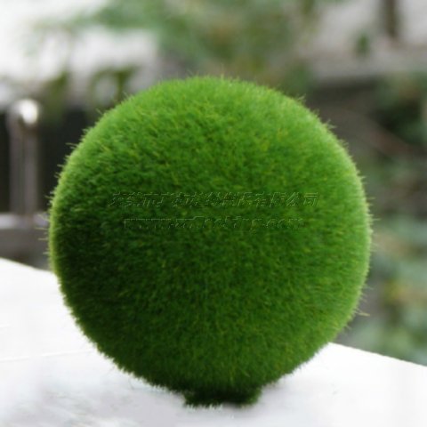 ṩGrasslandƷֲֲëӹ