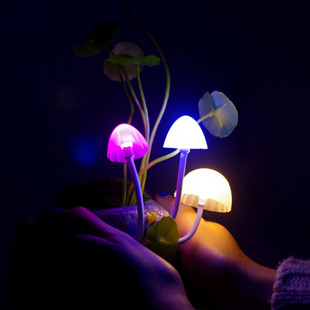 ﰢĢմ֬ҹ
