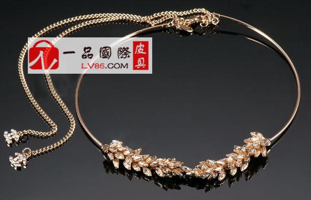 Chanelζ2011¿ϵȦѸ