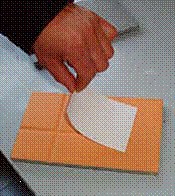 ˮ۷ճͿ