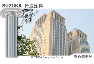 ¹SUZUKAʯϵ