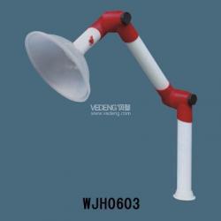 /WUJIEWJH0603̨ʽ֣ڣ