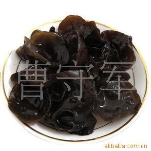 Լֲľ2010¶5۴ӭѡ