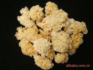 ؼͨװ500g