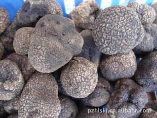Կ֮Ŀ——ڿ