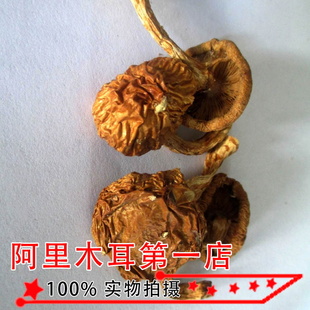 СزˬڻĢɻ