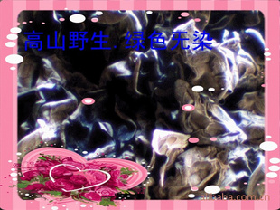 ɽũԲҰľ