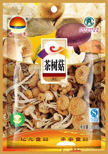 ڼнɻɡۿɿڳ