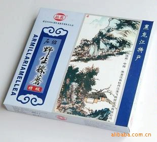 ҰĢѹ麣⳧ֱ