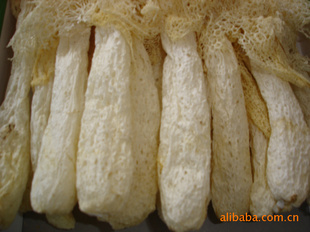 ʳƷݥز250/