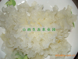 »ེŴƽľ