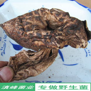 ҰڻƾɻزĢҰ