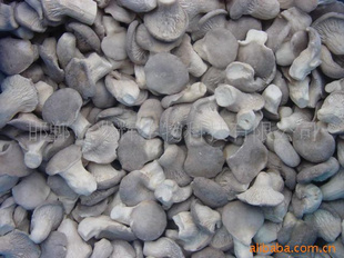 ¼ٶСƽfrozenchinababyoystermushroom