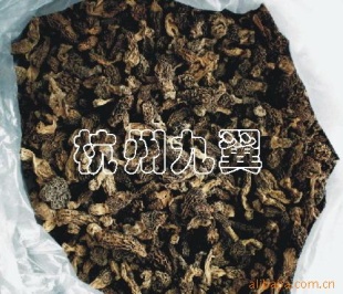 2010Ǿ»
