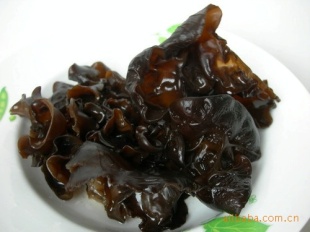 ڶľƬؼ10