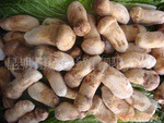 2012年鲜松茸 3-5