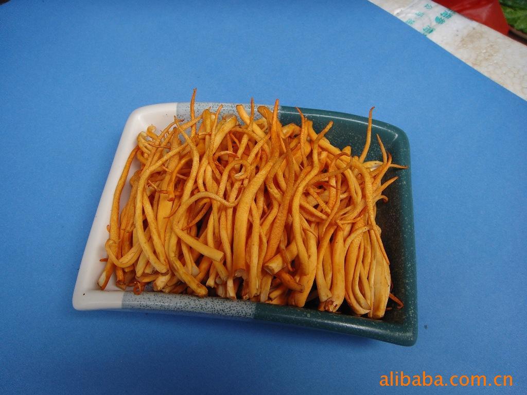 粗虫草花