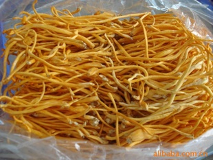 ʳݻ쵽