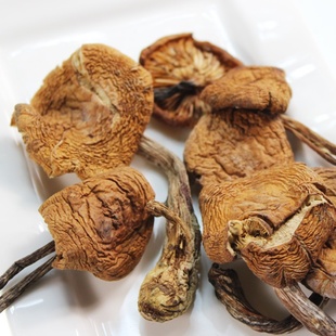 东北野生蘑菇排行