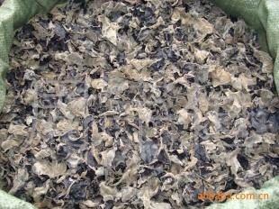 2010»Զľľԭ