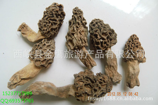 泦θ̵ҰǾֱ