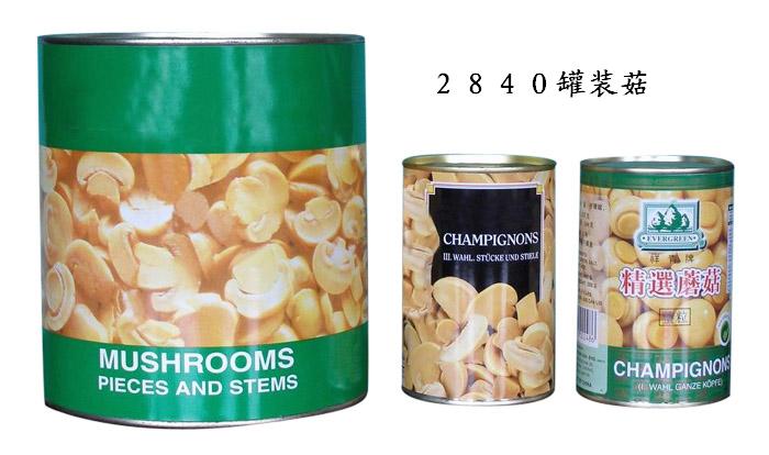 ˫Ģͷcannedmushroom