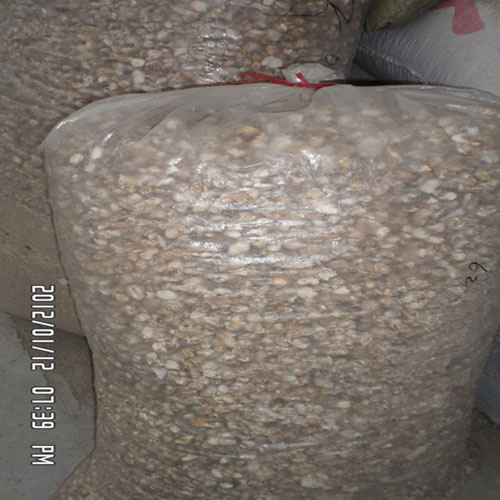 㹽㹽ţֱmushroom