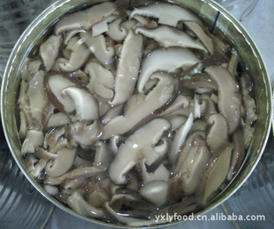 㹽ͷ2840g