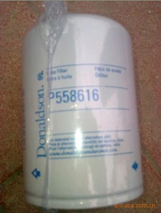ɭP558616ͺ