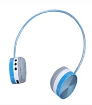 WS-3100