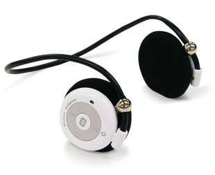 S900+MP3+FM31