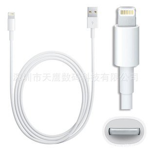 ƻiPhone55ƻ5LightningUSBֻ