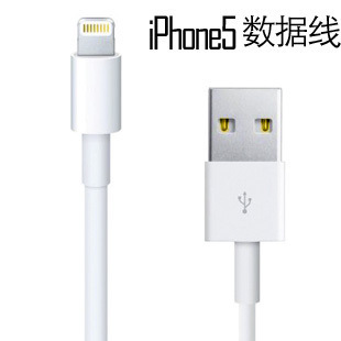 ֻappleƻLightningUSBiphone5