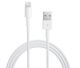 ƻ¿ipadminiiphone5lightningtousb紫