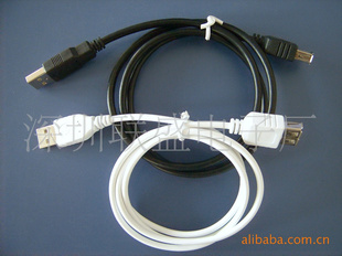 USBֻ