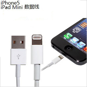 ֱiPhone5ƻ8pinȫ˫ֻ