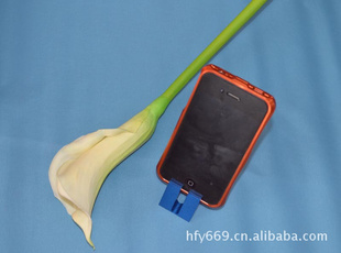 ¿IPHONEֻƻϽֻ