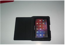 ݮPlaybookϵ7Ƥ