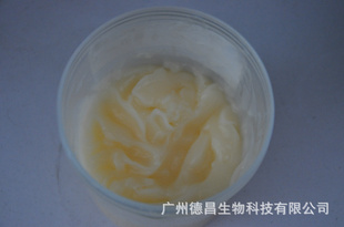 ʸ޸