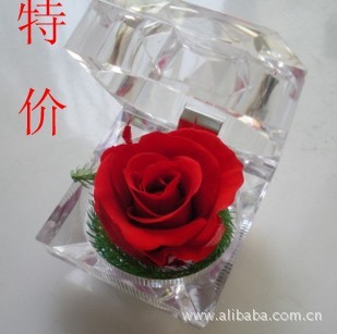 ʻֱлõ廨ձʻָ